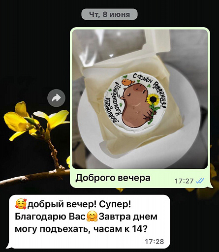 Отзывы картинками